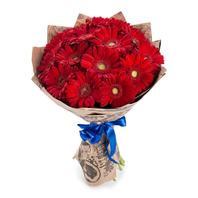 Яркий букет из 15 красных гербер – воплощение страсти и жизнерадостности Белая Калитва Ростовская область