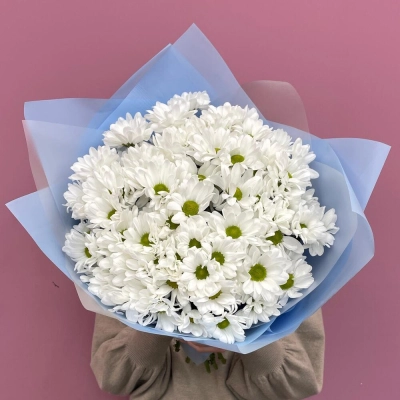 Букет «Ромашковое поле» – свежесть белых хризантем Белая Калитва Ростовская область