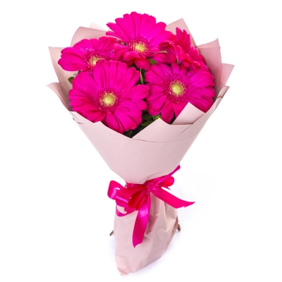 Букет из 5 малиновых гербер – сочный акцент вашего подарка Белая Калитва Ростовская область