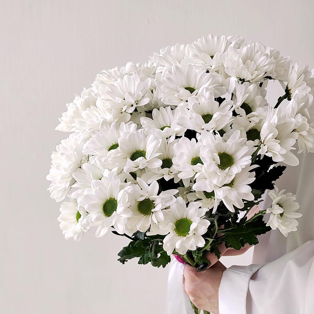 Букет «Ромашка» – 9 белоснежных хризантем в деревенском стиле Белая Калитва Ростовская область