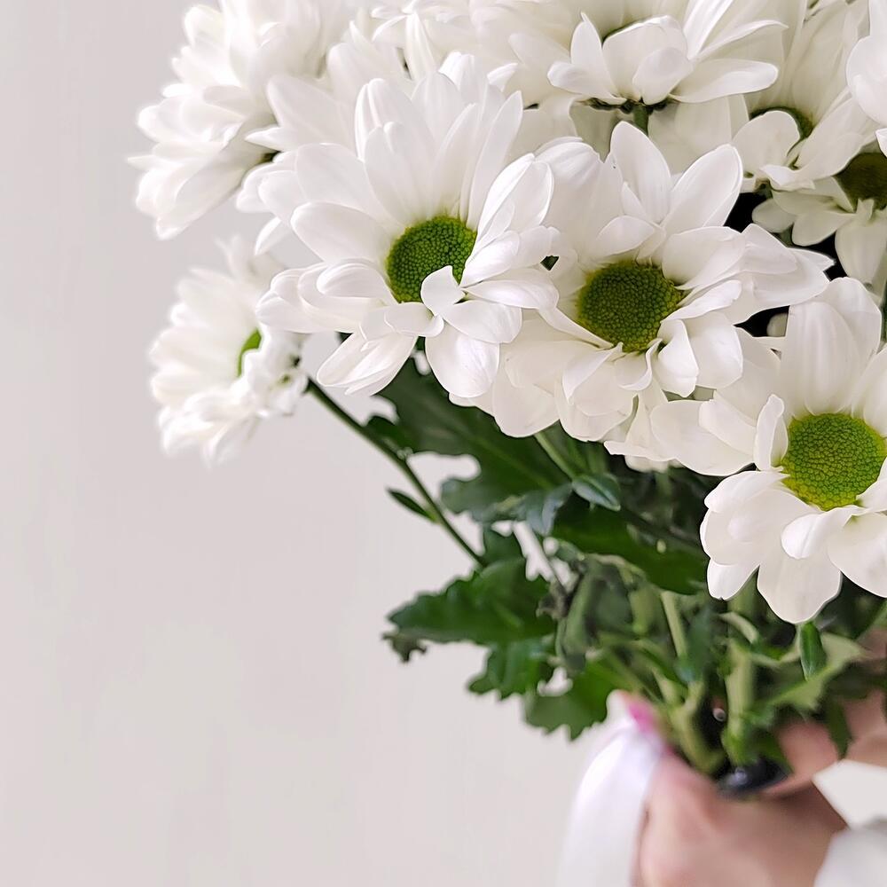 Букет «Ромашка» – 9 белоснежных хризантем в деревенском стиле Белая Калитва Ростовская область