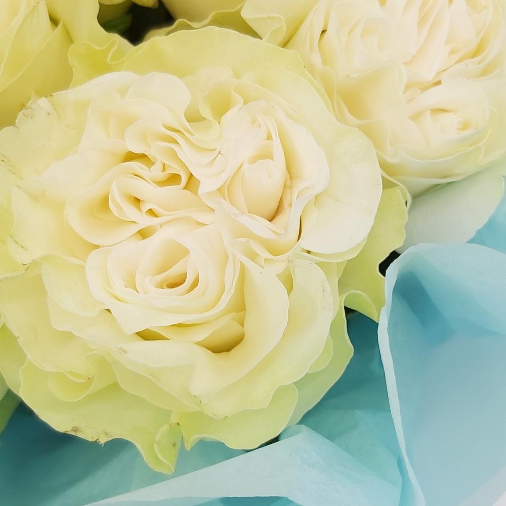 Букет «Кружевное облачко» – 11 белоснежных роз в нежной упаковке Белая Калитва Ростовская область