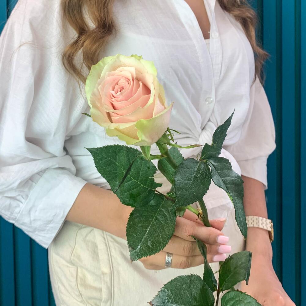 Комплимент из розовой эквадорской розы – минимализм роскоши Белая Калитва Ростовская область