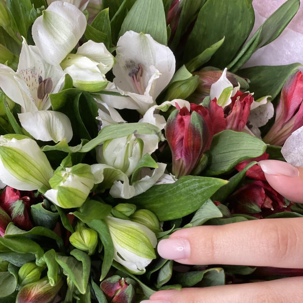 Букет «Люблю»– страсть и чистота в красно-белых альстромериях Белая Калитва Ростовская область