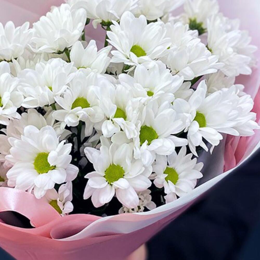 Букет «Розовое счастье» – нежность белых хризантем Белая Калитва Ростовская область